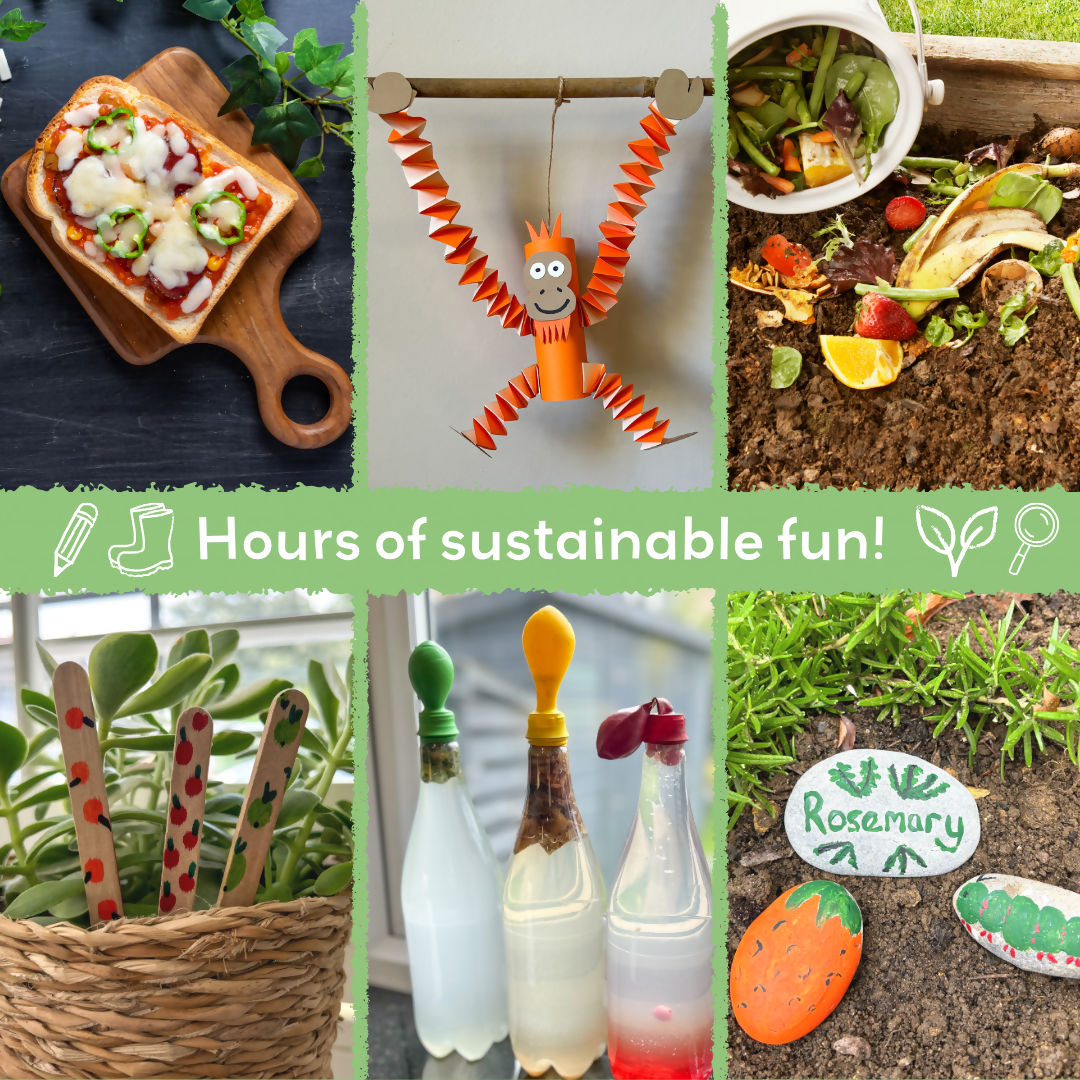 FOOD GLORIOUS FOOD - Children’s eco activity kit (Age 5+) — Montessori wooden toy UK | KIDDYKIND
