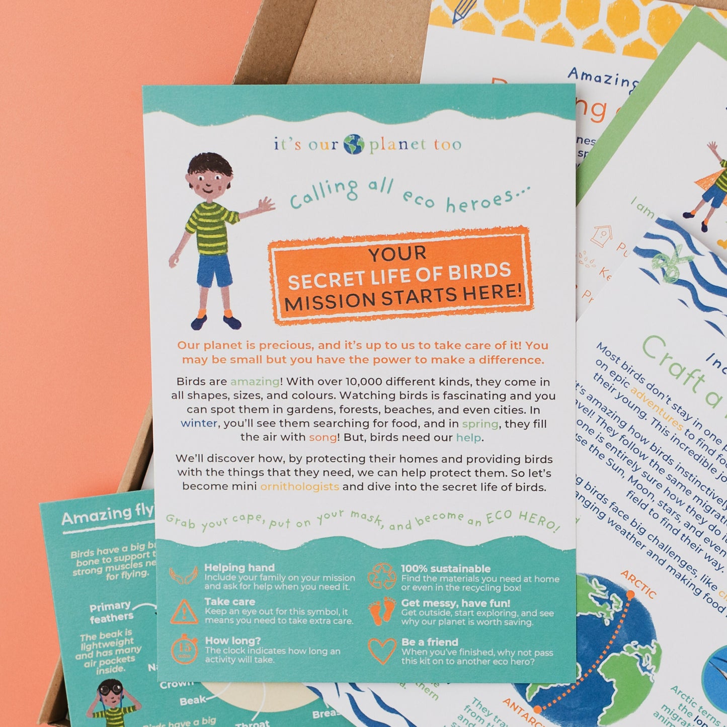 THE SECRET LIFE OF BIRDS - Children’s eco activity kit (Age 5+) | open-ended wooden toy for kids UK