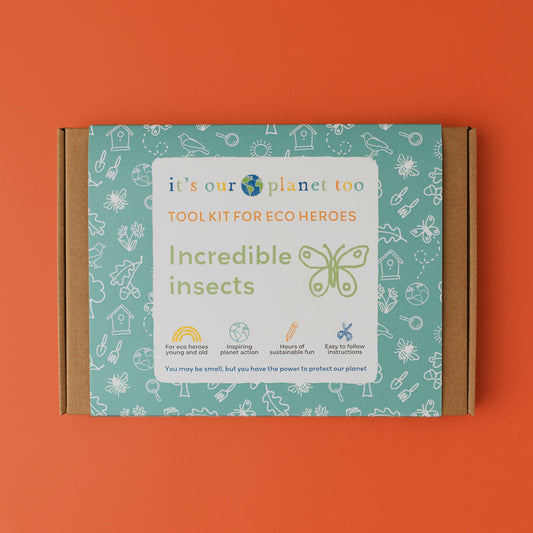 INCREDIBLE INSECTS - Children’s eco activity kit (Age 5+)