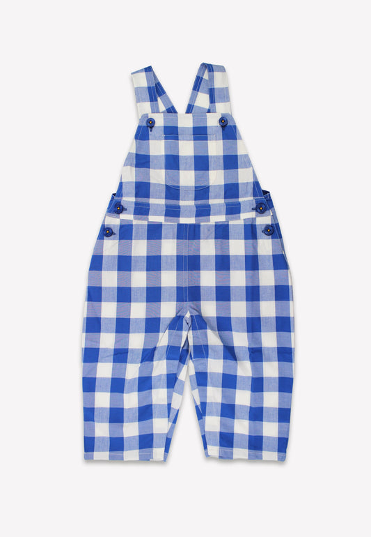 Blue and white checkered overalls on a white background