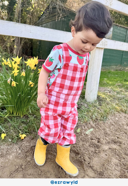 Organic Red Gingham Woven Dungarees