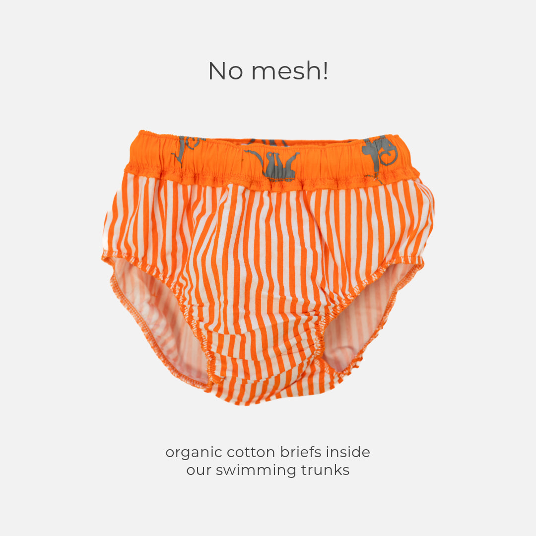 Product Image-4
