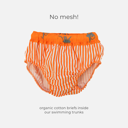 Product Image-4