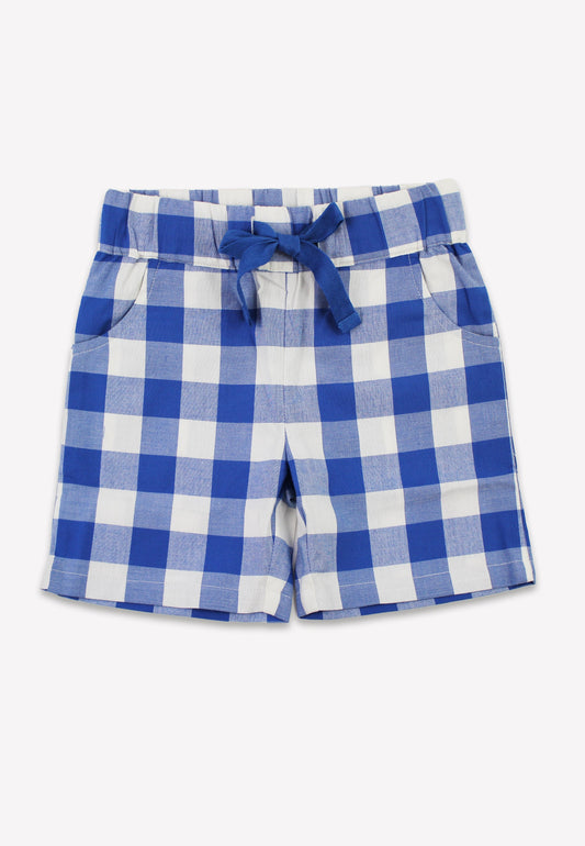 Blue and white checkered shorts with a tie on a white background