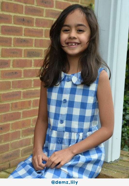 Organic Blue Gingham Woven Dress
