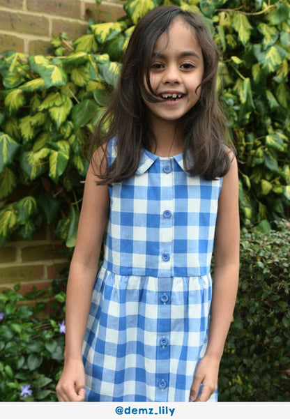 Organic Blue Gingham Woven Dress