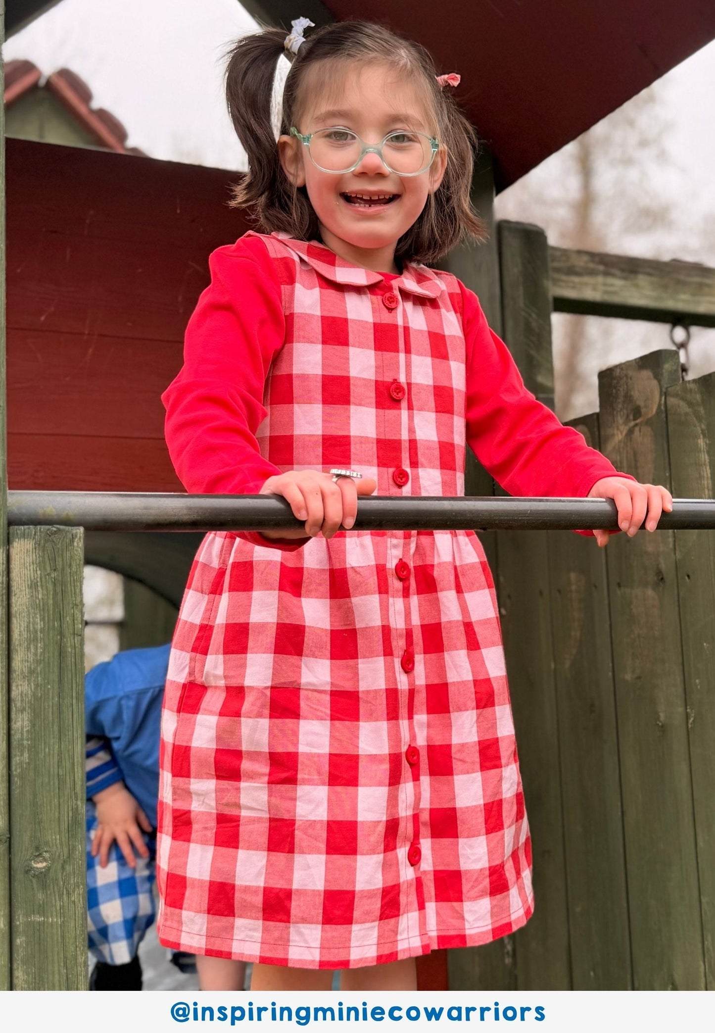 Organic Red Gingham Woven Dress