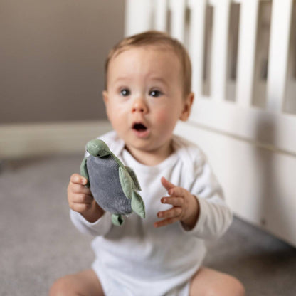 Organic Baby Turtle Rattle