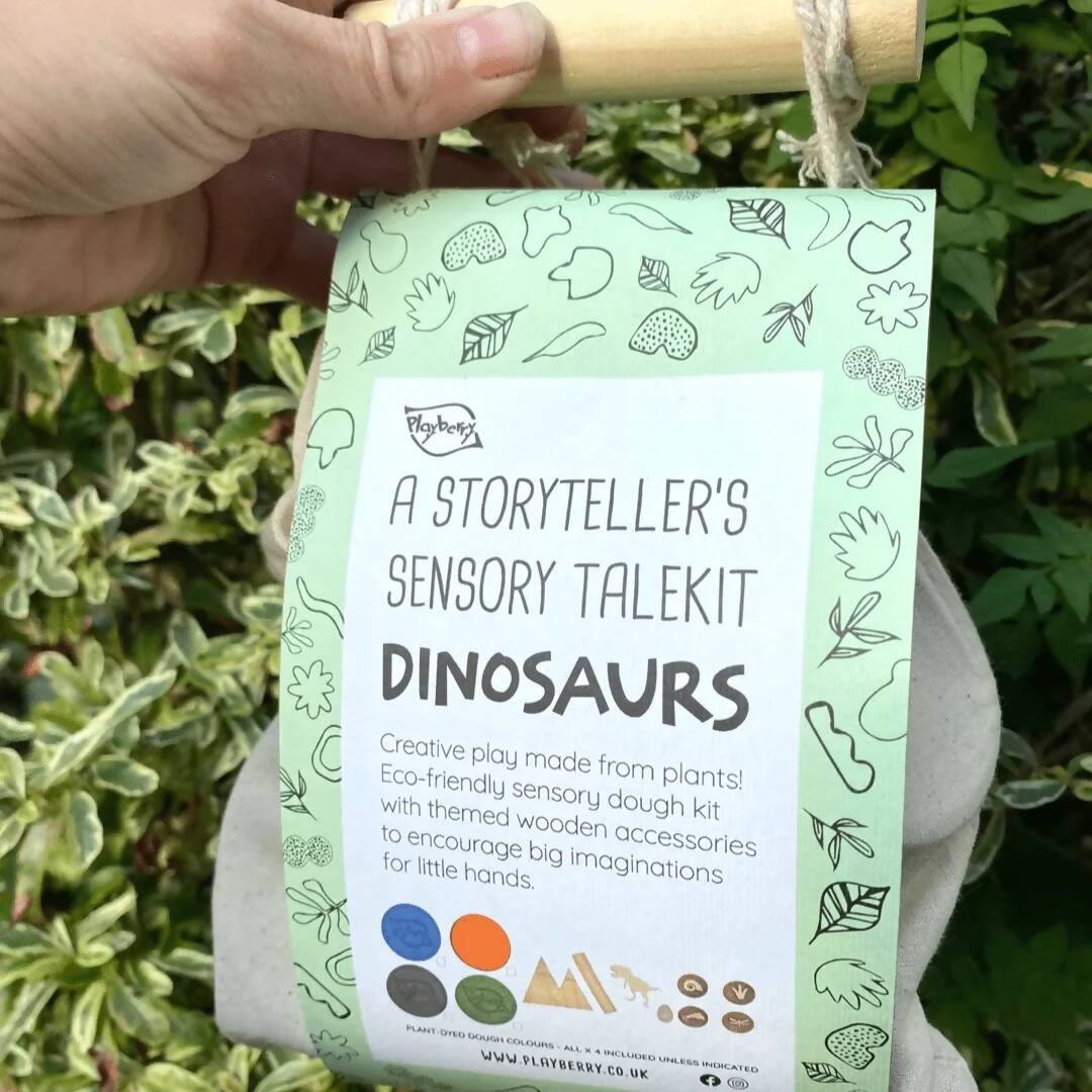 Dinosaur Theme Natural Dough Kit