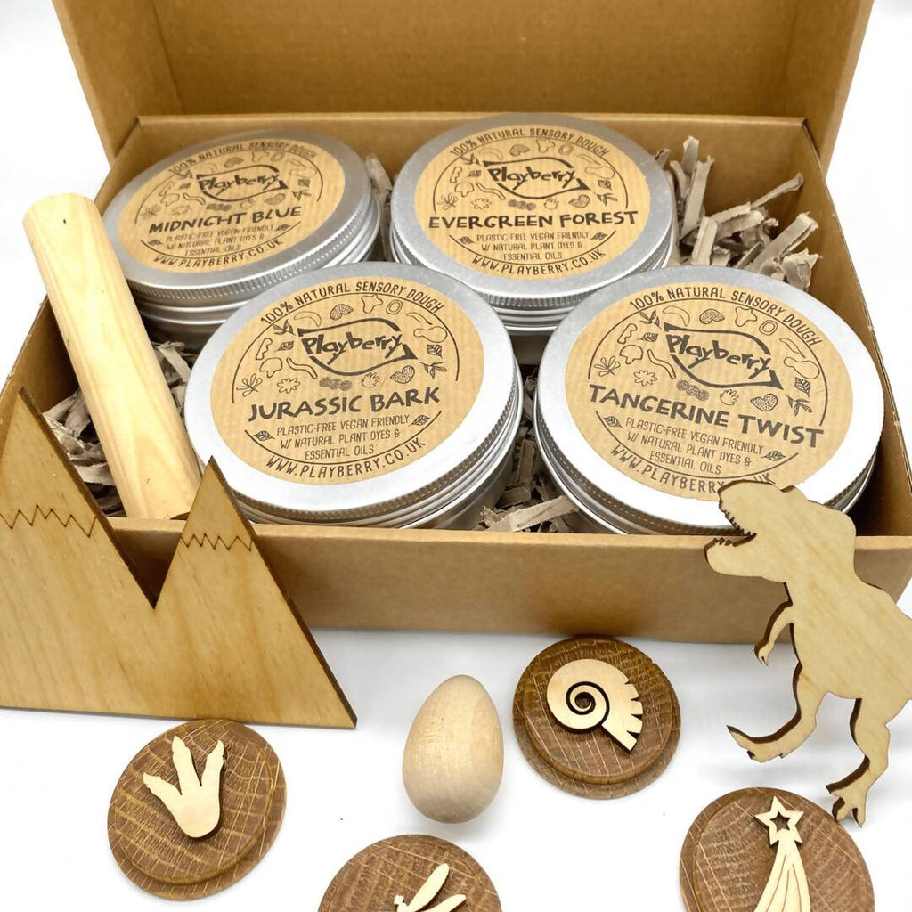 Dinosaur Theme Natural Dough Kit