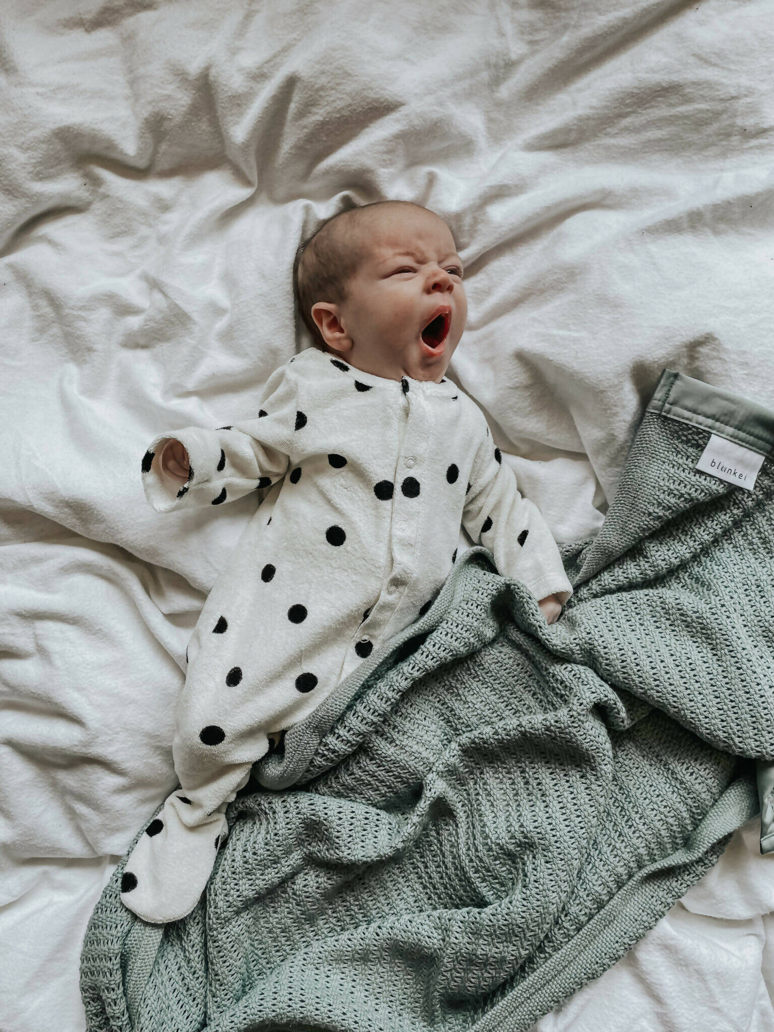 IMG_7127_jpg-1-1536x2048